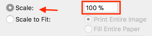 Устанавливаем правильный размер